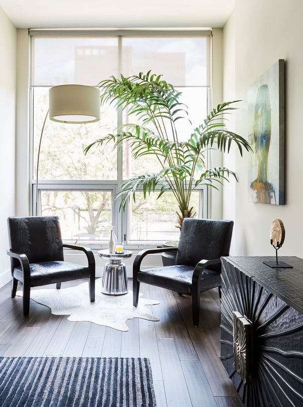 Edgy city condo with two black armchairs, drop lamp, and large palm in front of a large bare window - living room design by Jasmin Reese Interiors, Chicago, USA. 